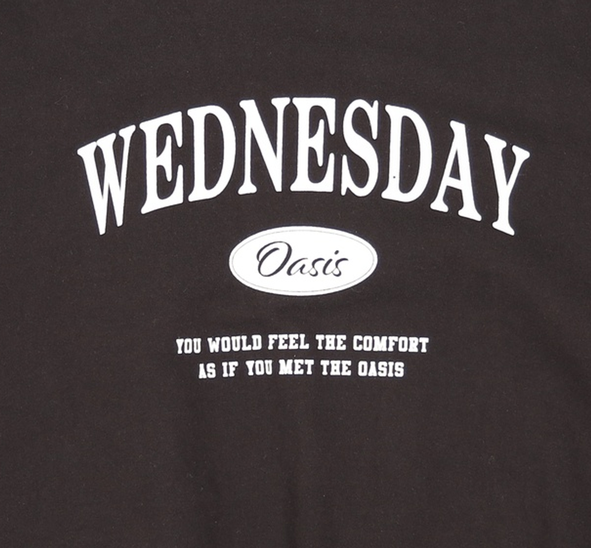 웬즈데이오아시스(WEDNESDAY OASIS) 맨투맨/스웨트셔츠 3XL