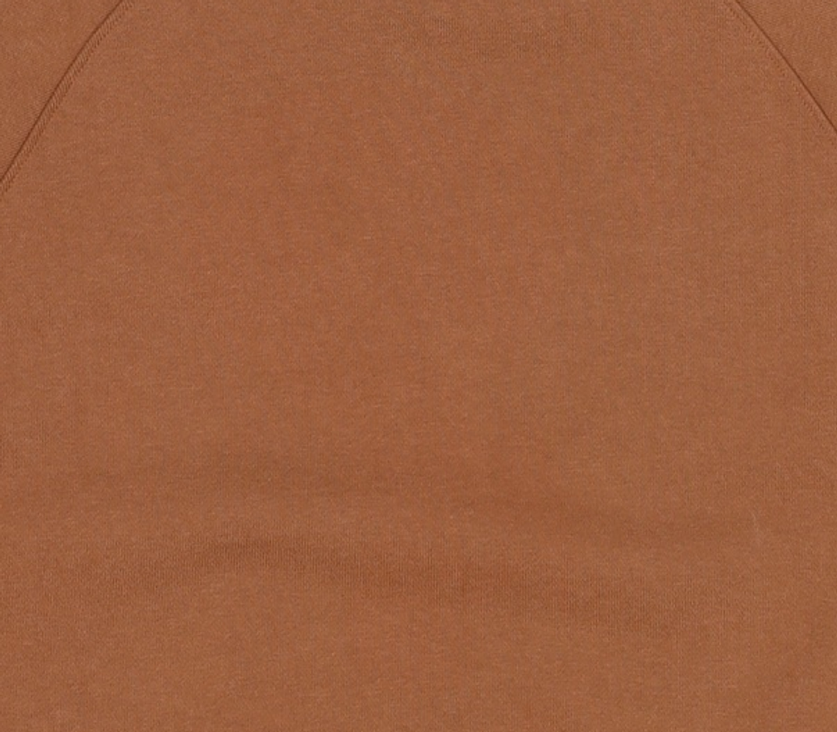 마리떼 프랑소와 저버(MARITHÉ + FRANҪOIS GIRBAUD) W ROND LOGO SWEAT TEE brown S