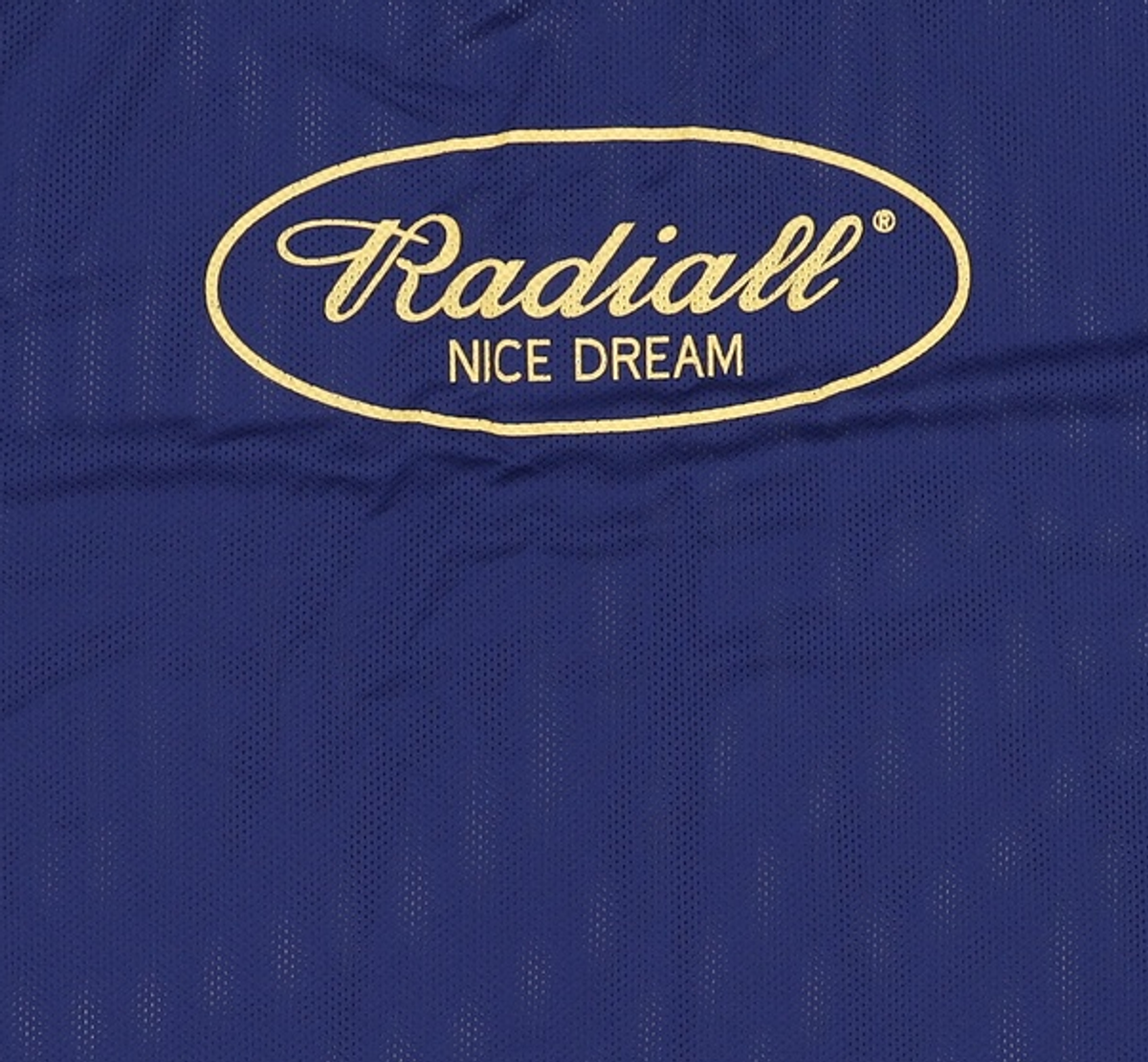 라디올(RADIALL) 반소매 티셔츠 L