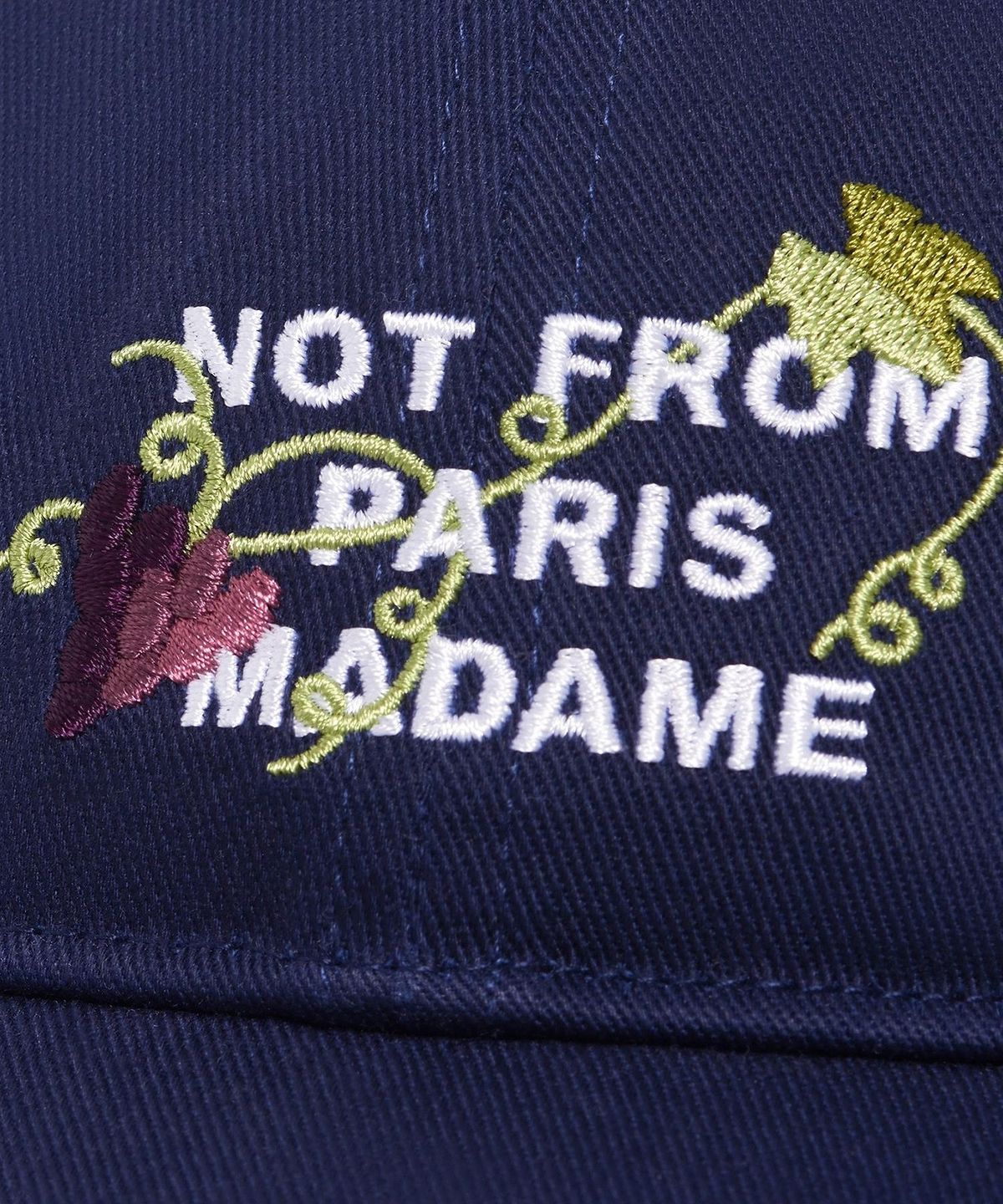 드롤드무슈(DROLE DE MONSIEUR) Vine Embroidered Slogan Cap D4RAA26100NYX
