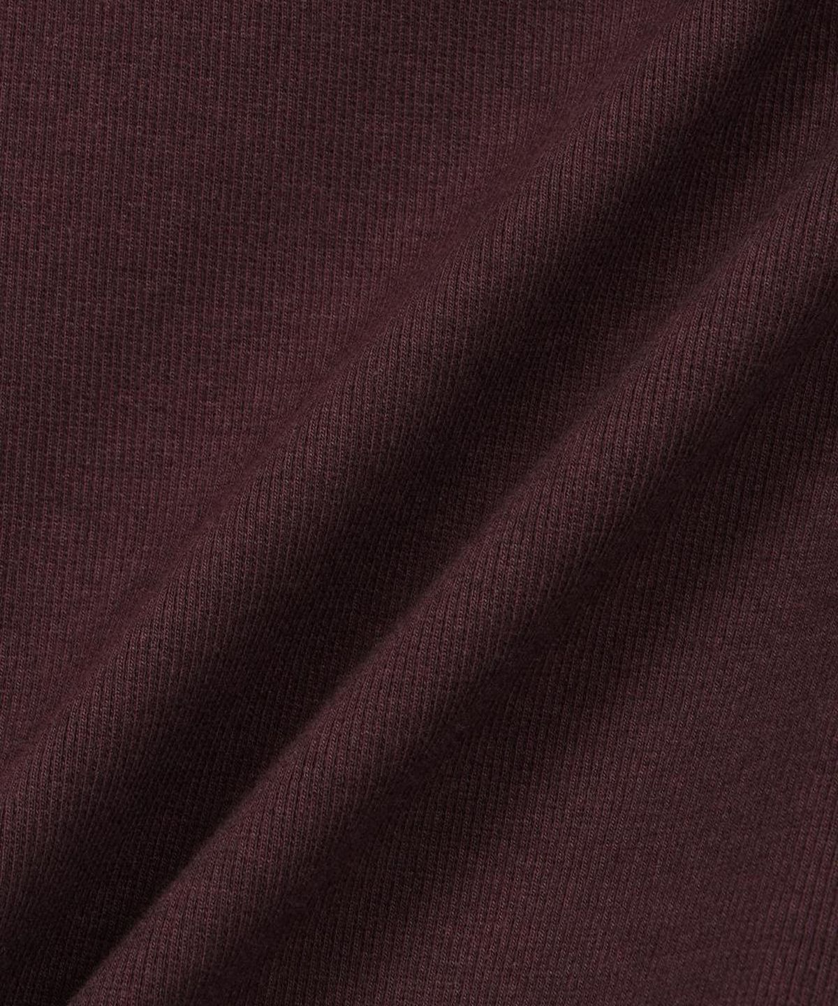 티엔지티(TNGT) Ribbed Slim Fit Polo T-Shirt (Red Brown) TNTS6F105W2
