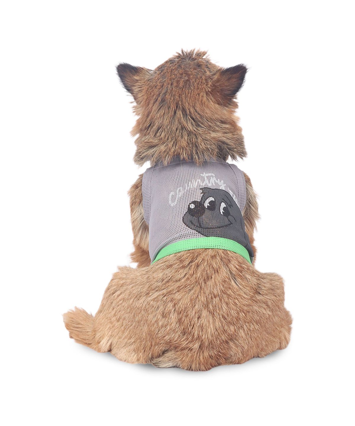 몽슈슈(MONCHOUCHOU) Country dog Mesh Crop Top Gray