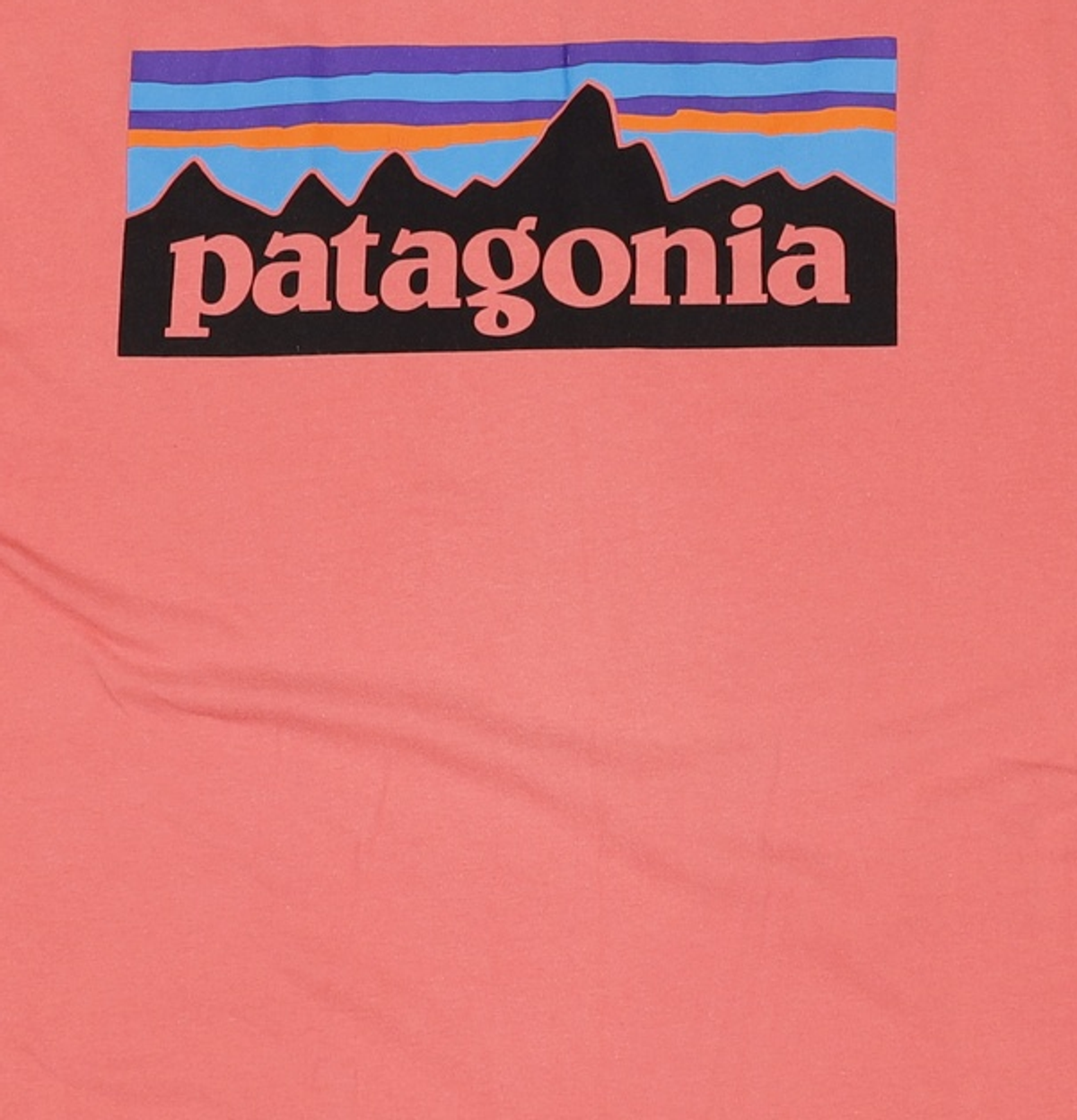 파타고니아(PATAGONIA) 반소매 티셔츠 XL