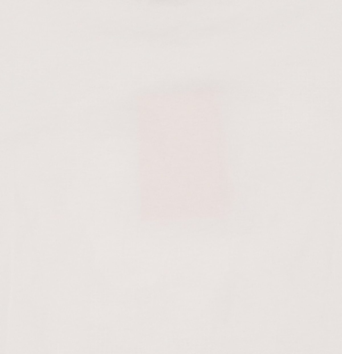 시눈(SINOON) Butterfly Frill T-Shirts (White) M