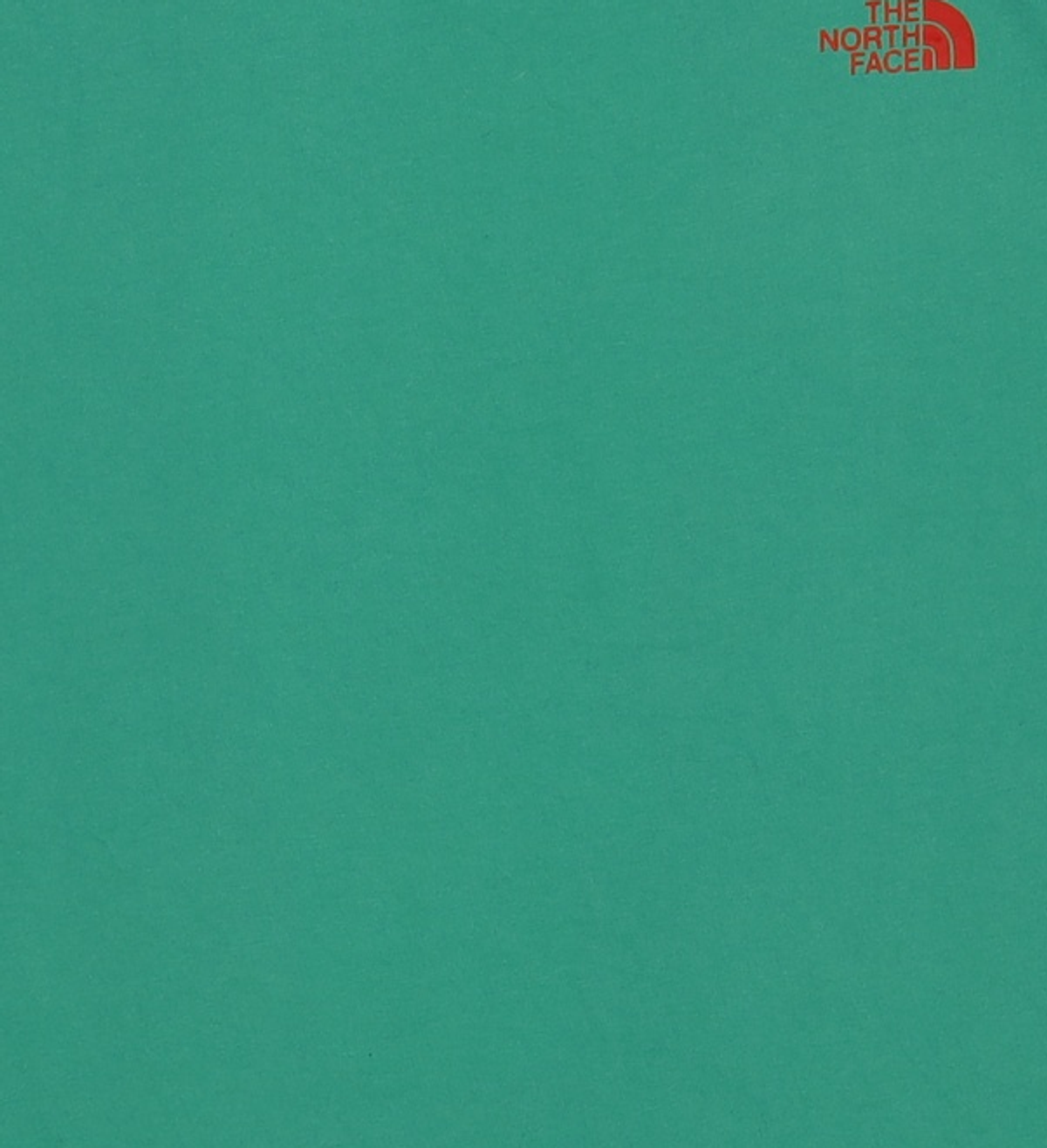노스페이스(THE NORTH FACE) 반소매 티셔츠 L