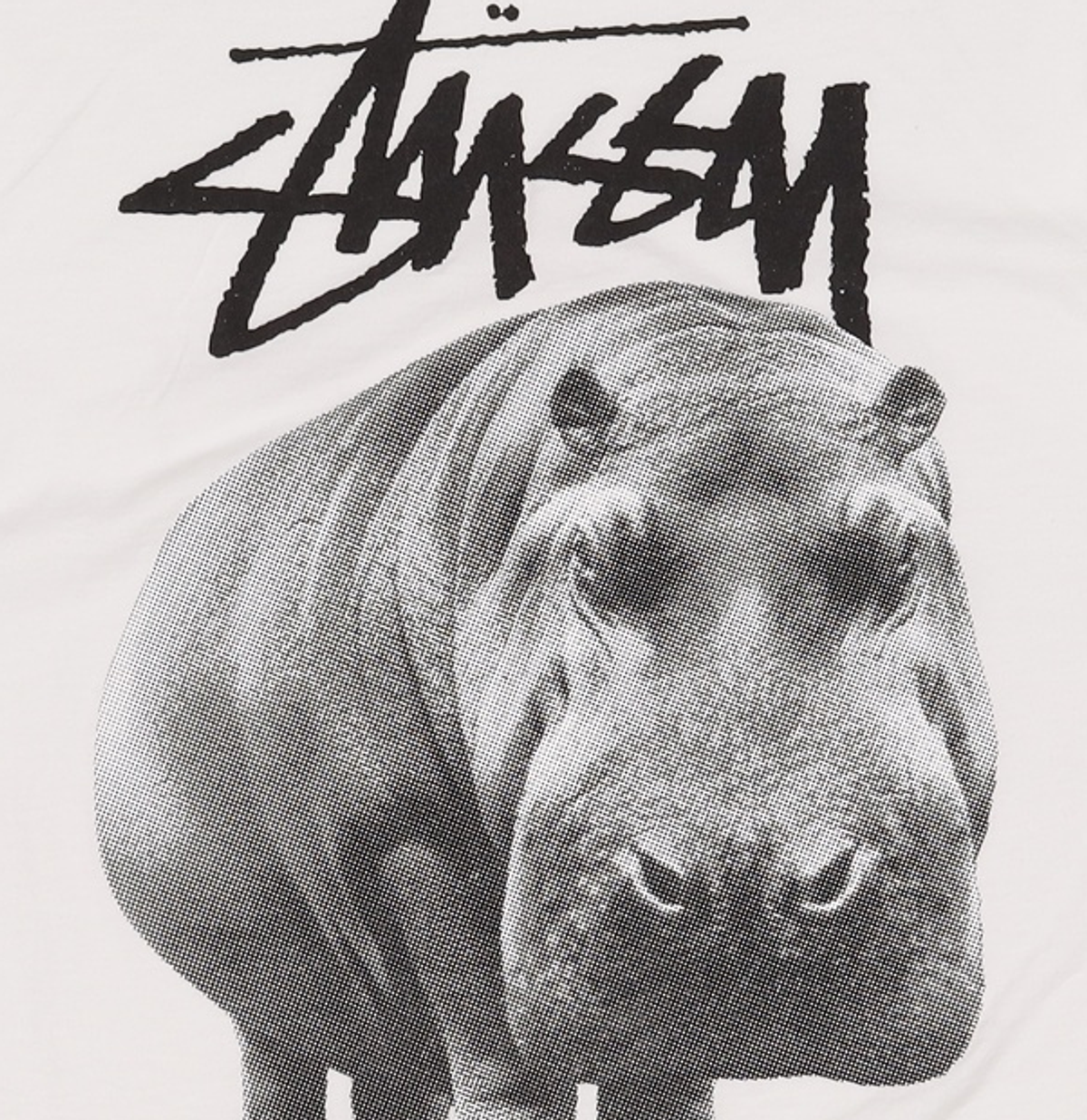 스투시(STUSSY) 반소매 티셔츠 XL