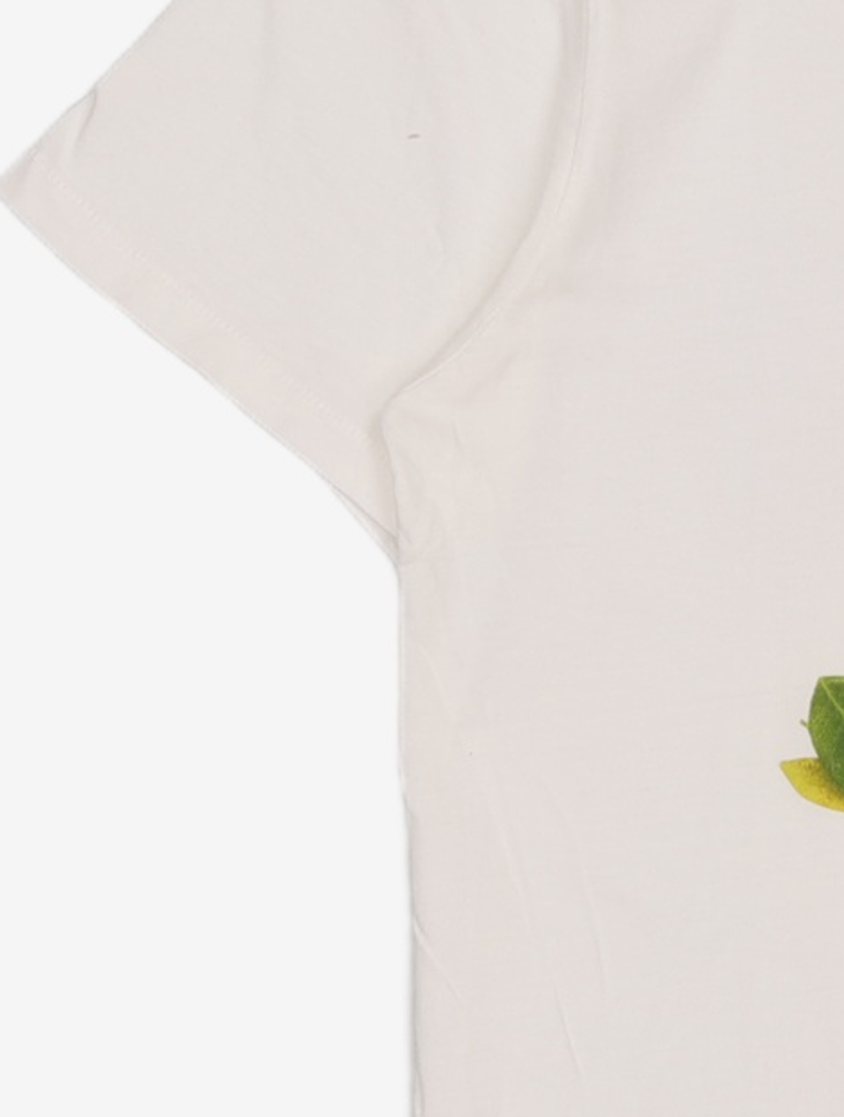 위에스씨(WESC) (E1)Leafy Icon(mens S/S.white) L