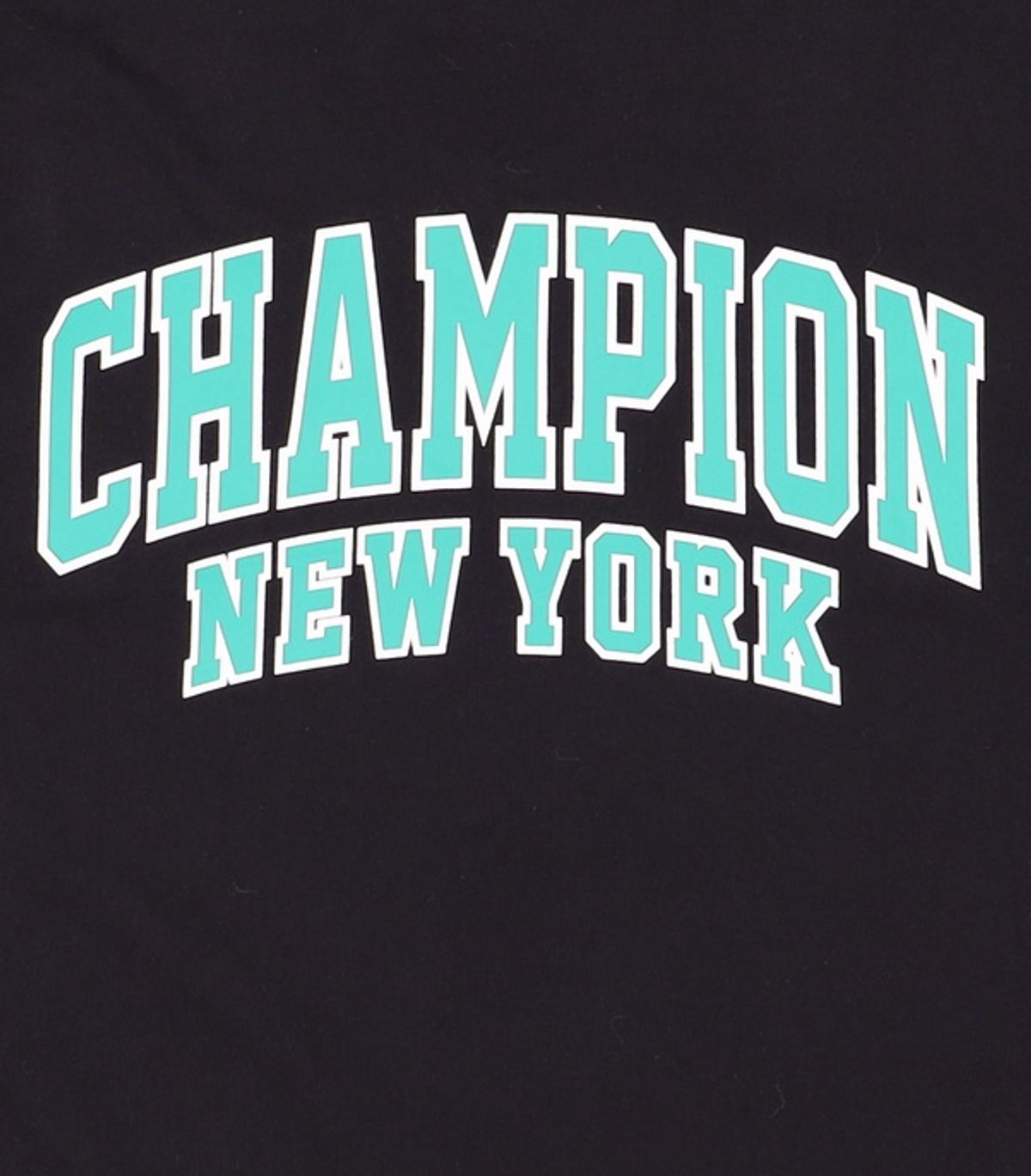 챔피온(CHAMPION) 반소매 티셔츠 L