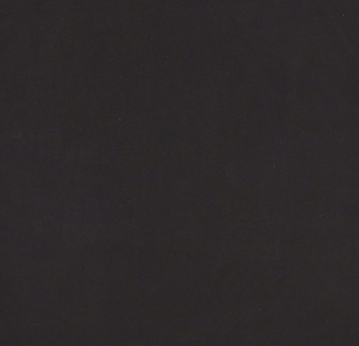 내셔널지오그래픽(NATIONALGEOGRAPHIC) N242UTS910 세미오버핏 컴포터블 반팔 티셔츠 CARBON BLACK XL