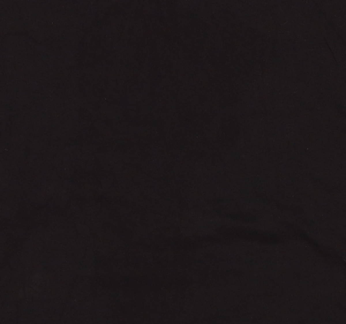 아메리칸 어패럴(AMERICAN APPAREL) 긴소매 티셔츠 XL