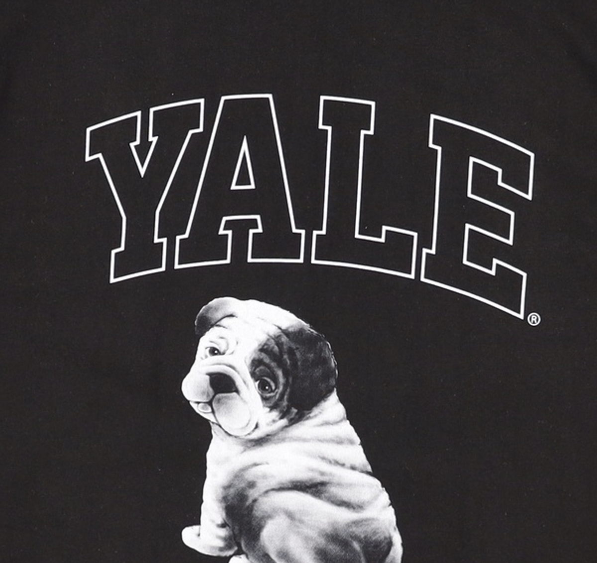예일(YALE) 반소매 티셔츠 S