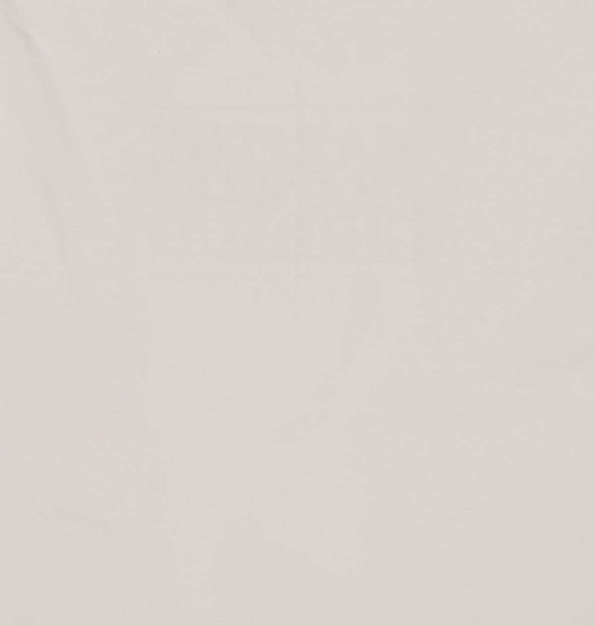 마리떼 프랑소와 저버(MARITHÉ + FRANҪOIS GIRBAUD) CLASSIC LOGO TEE light green M