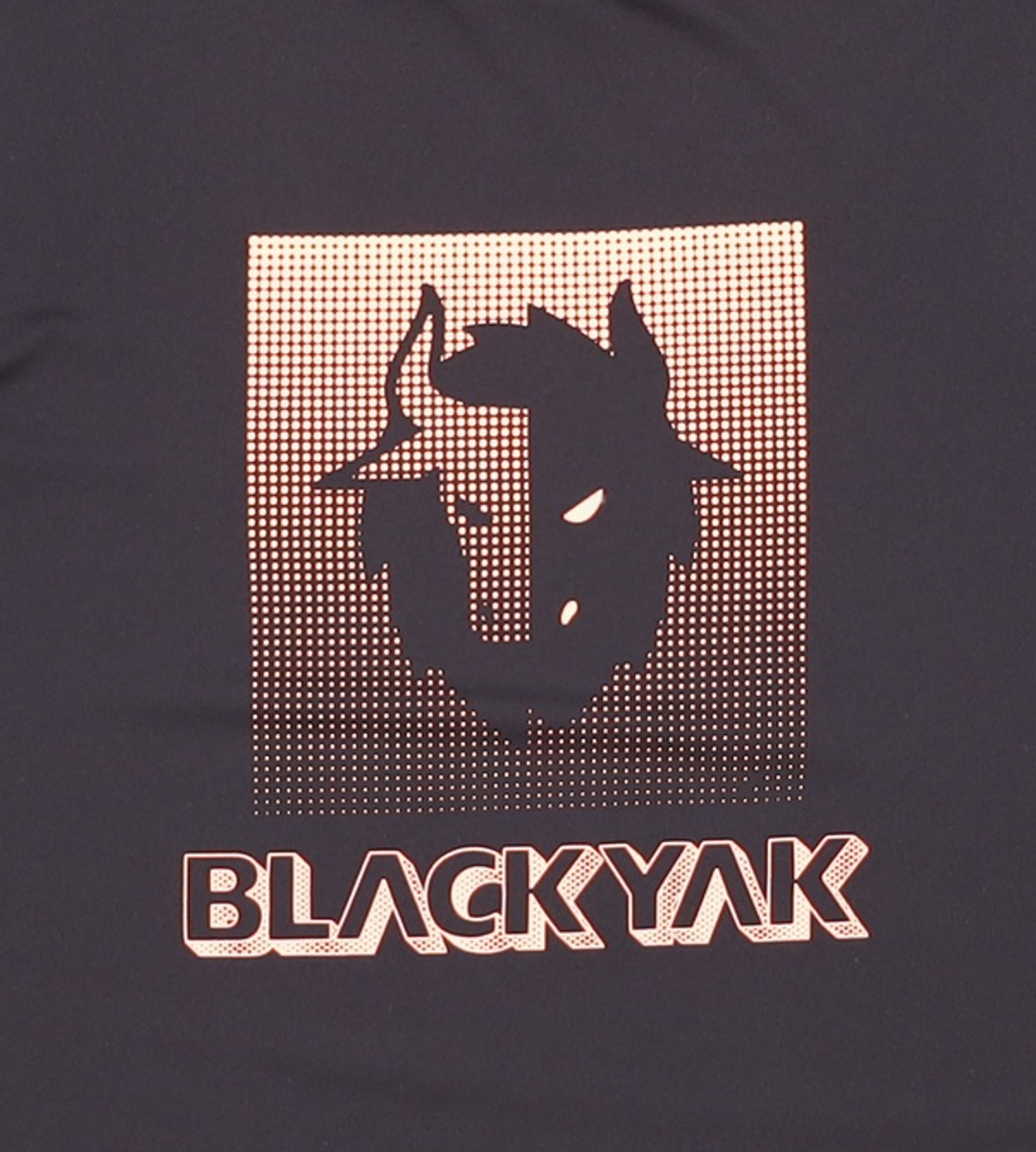 블랙야크 키즈(BLACK YAK KIDS) 반소매 티셔츠 155