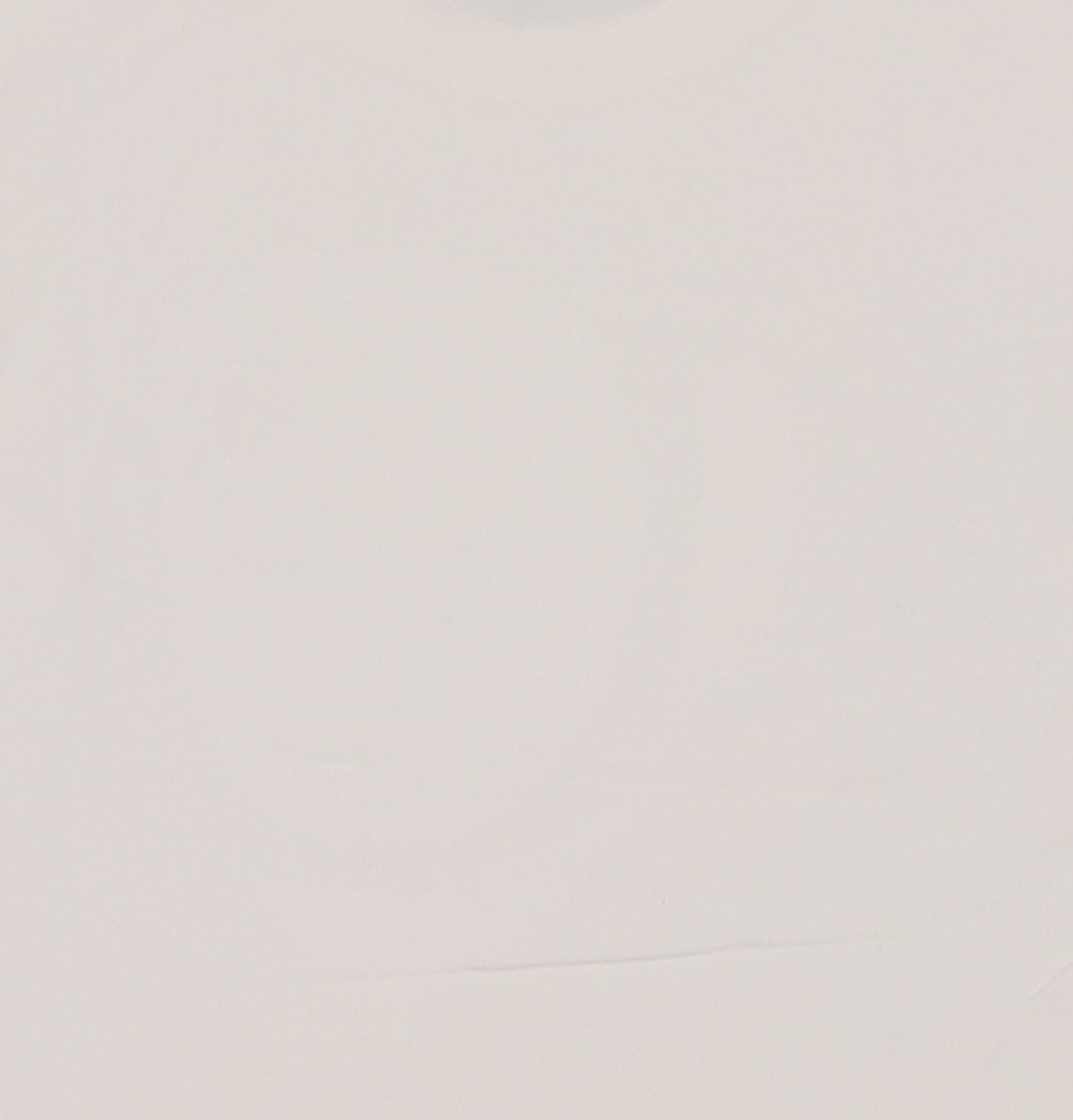 제너럴 아이디어(GENERAL IDEA) GNRL 실켓 반팔 티셔츠 [WHITE] / WBC2L01516 S