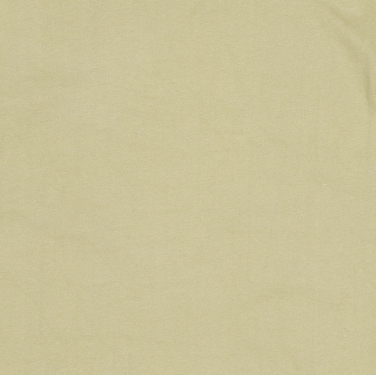 예일(YALE) HERITAGE DAN T-SHIRT VTG KHAKI L