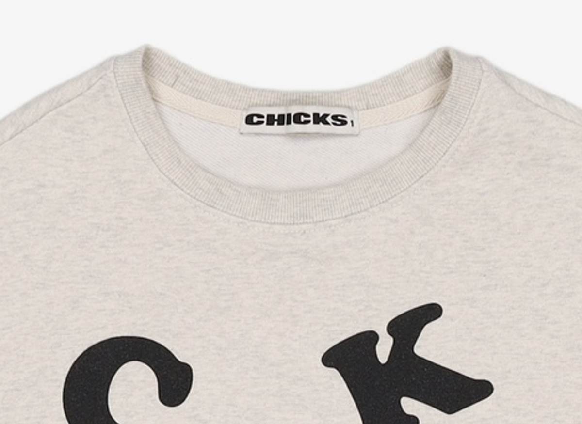 칙스(CHICKS) 맨투맨/스웨트셔츠 XL
