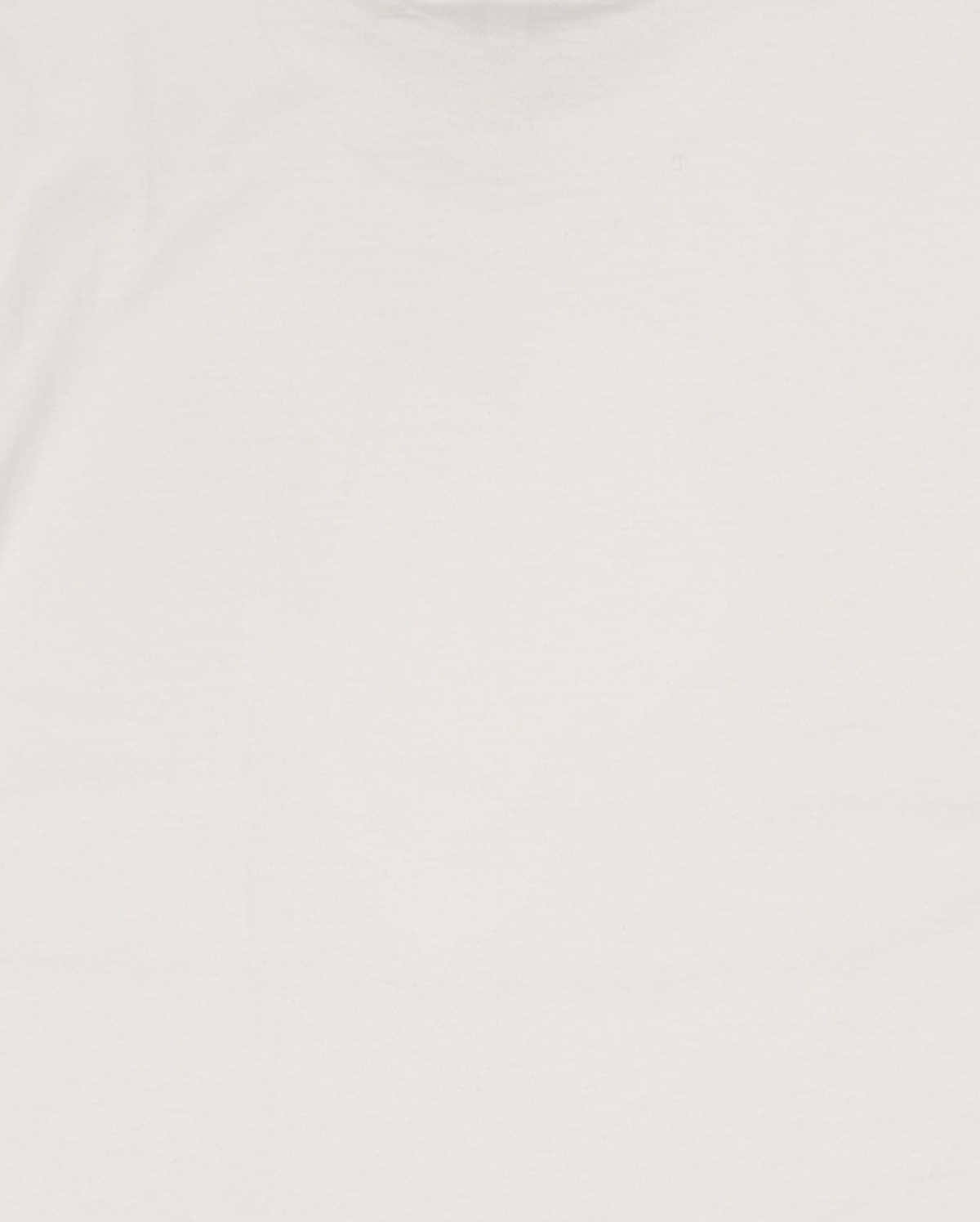 아메리칸 어패럴(AMERICAN APPAREL) 반소매 티셔츠 L