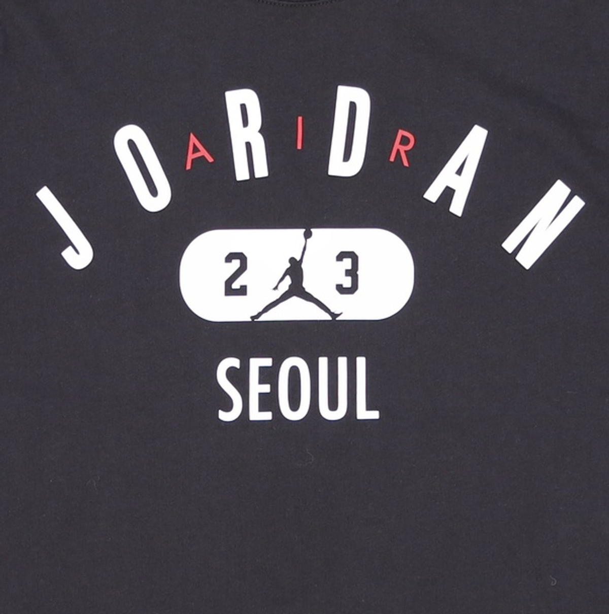 조던(Jordan) 반소매 티셔츠 100