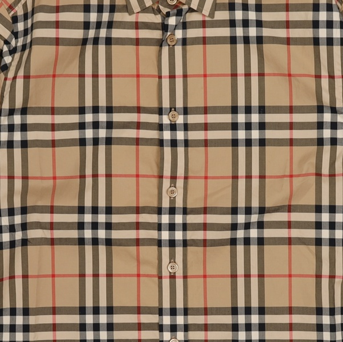 버버리(BURBERRY) 캐주얼 셔츠 L