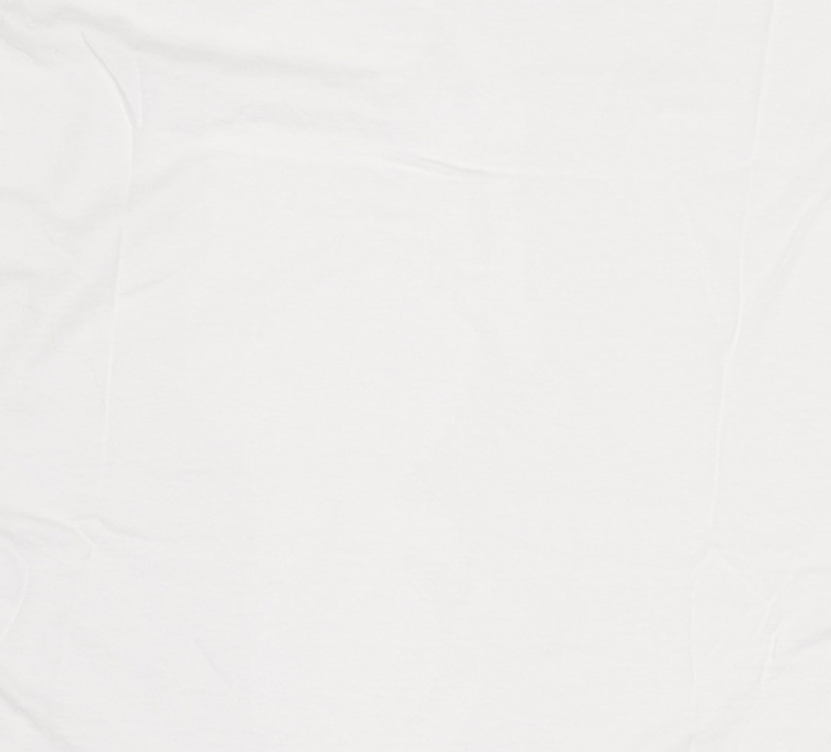 아메리칸 어패럴(AMERICAN APPAREL) 반소매 티셔츠 XXXL