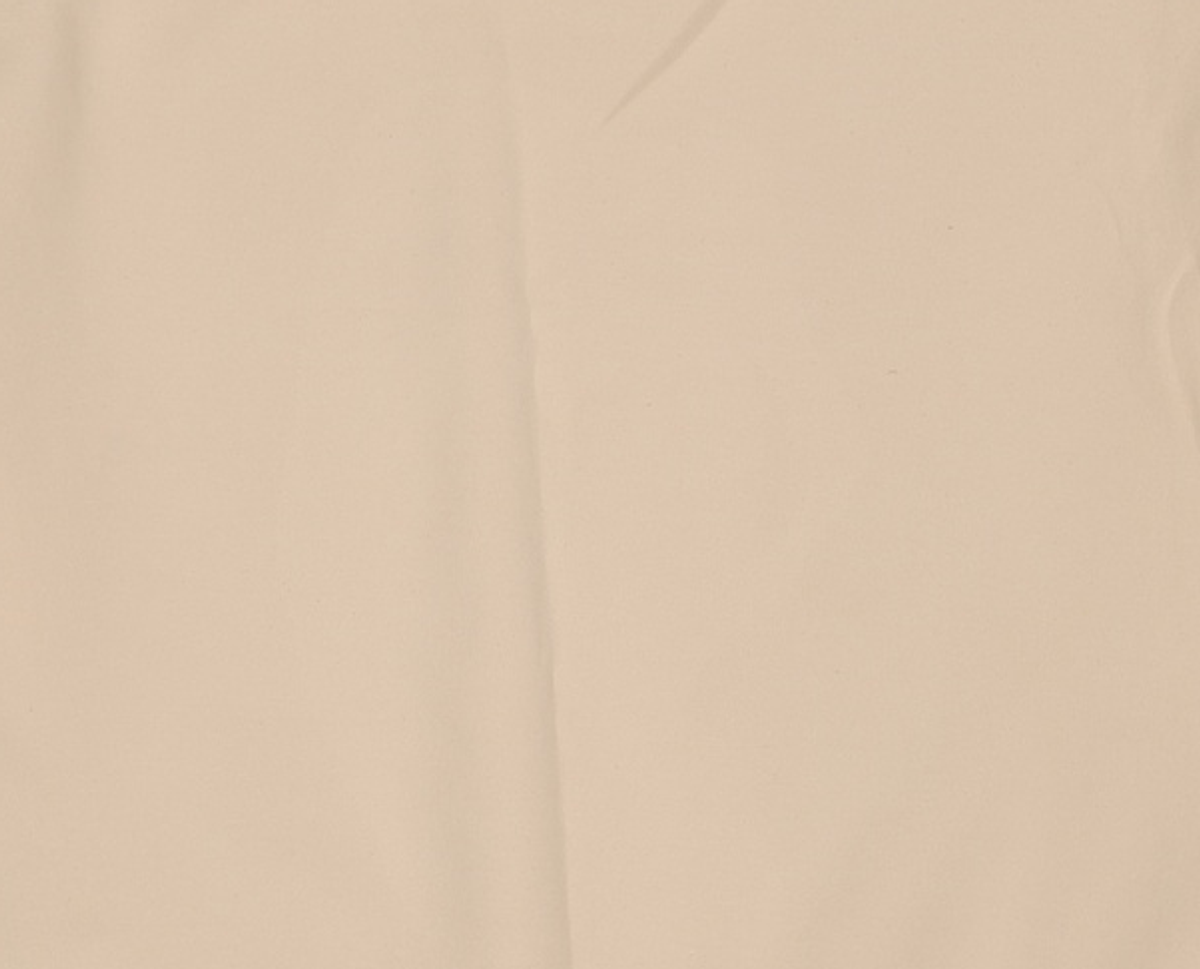 빈폴 스포츠(BEANPOLE SPORT) Unisex 베이지 베이직 로고 맨투맨 (BO9841J02A) 105