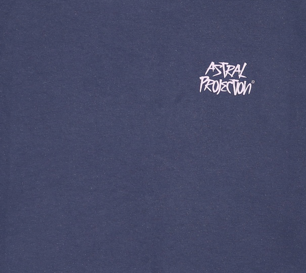 아스트랄 프로젝션(ASTRAL PROJECTION) 맨투맨/스웨트셔츠 L