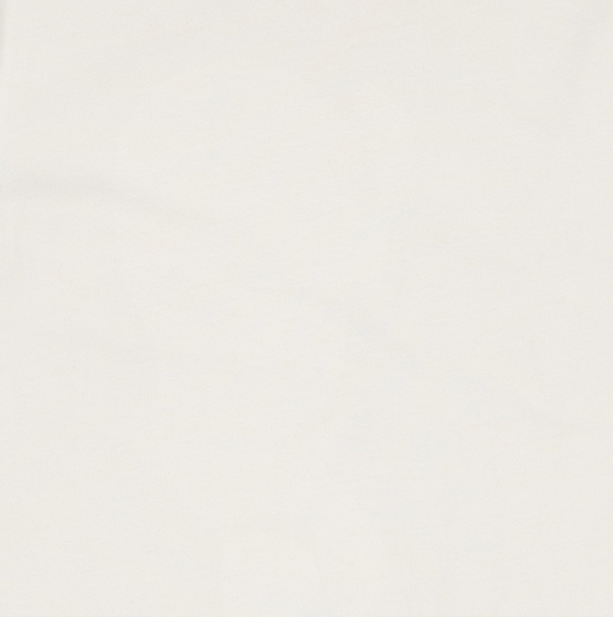 프리즘웍스(FRIZMWORKS) OG DOUBLE RIB OVERSIZED TEE _ WHITE XL