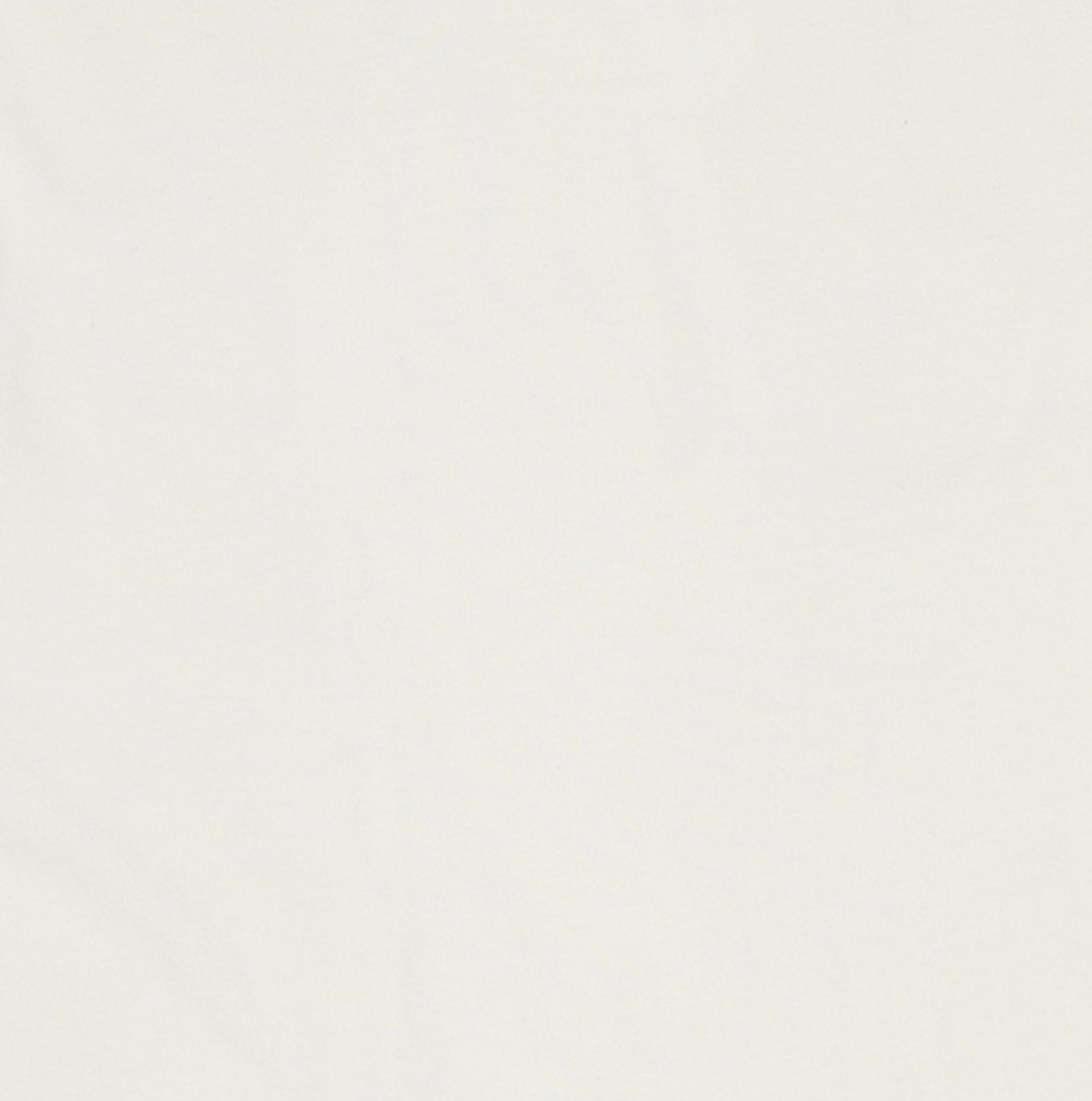 프리즘웍스(FRIZMWORKS) OG DOUBLE RIB OVERSIZED TEE _ WHITE XL