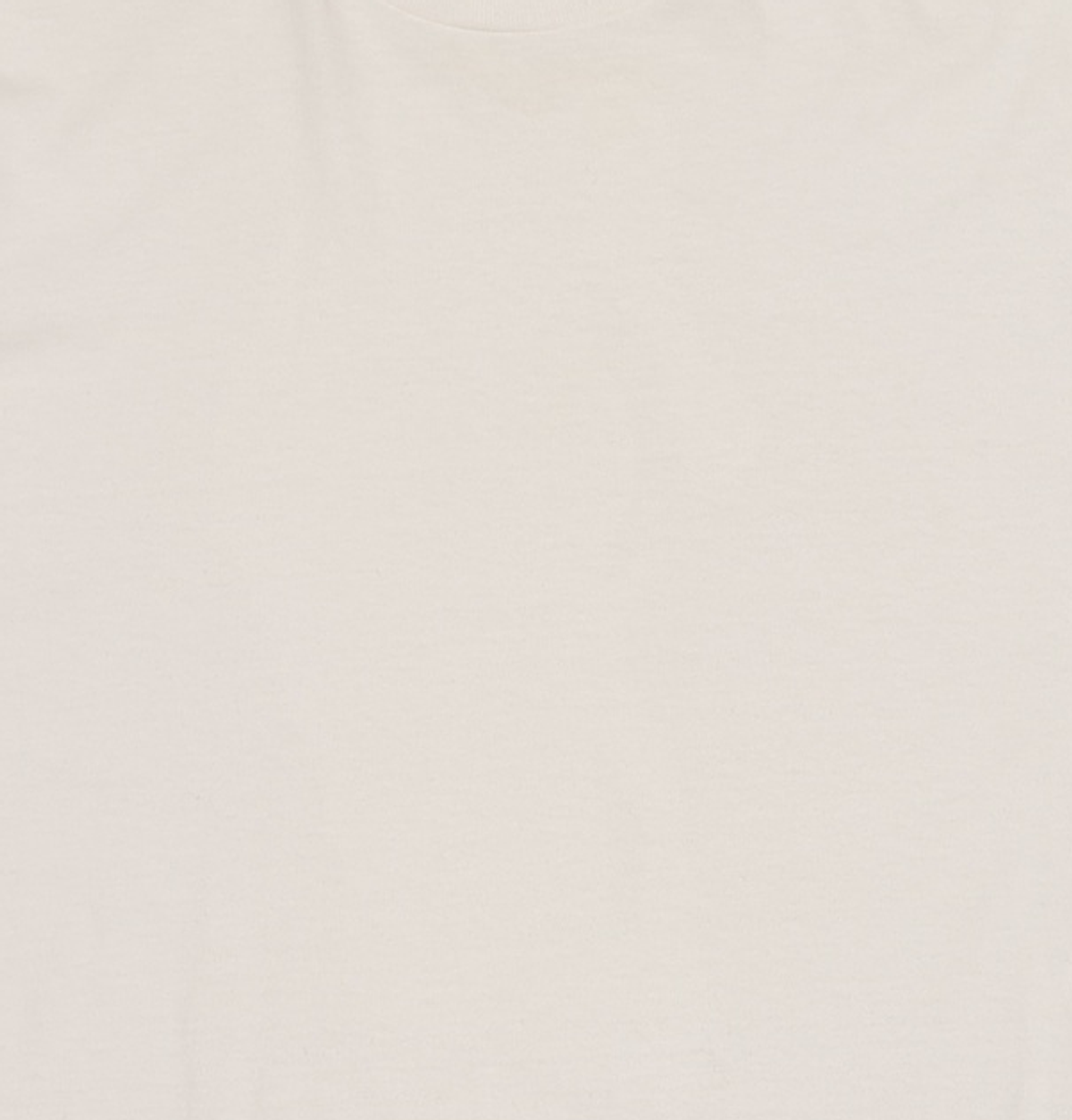 아메리칸 어패럴(AMERICAN APPAREL) 반소매 티셔츠 XL