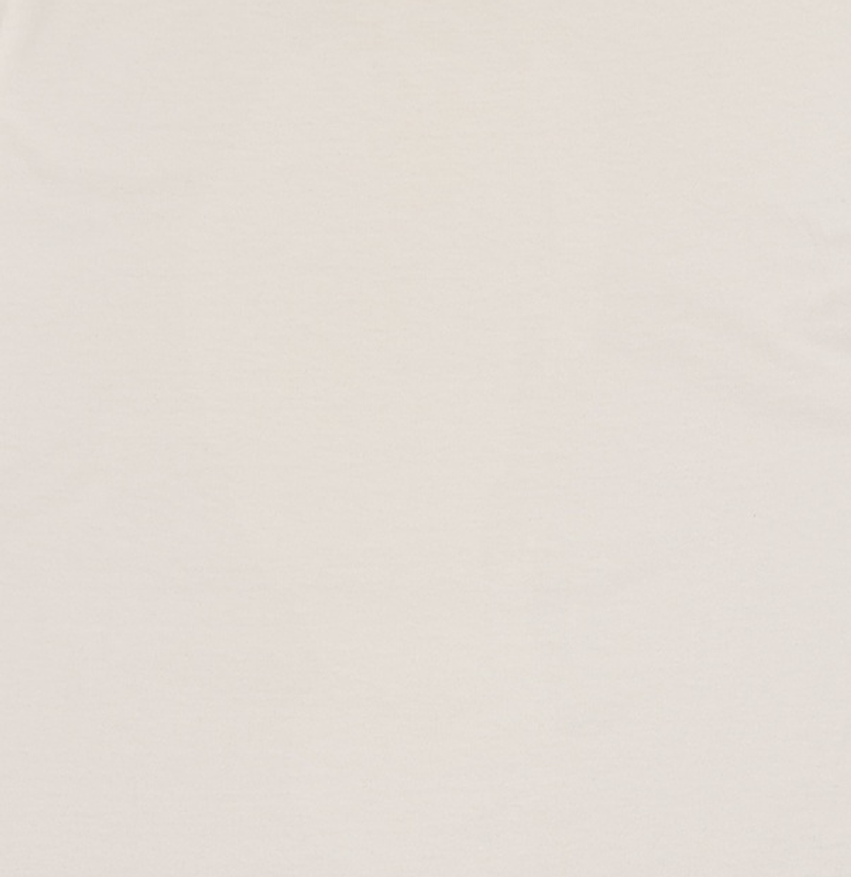 아메리칸 어패럴(AMERICAN APPAREL) 반소매 티셔츠 XL