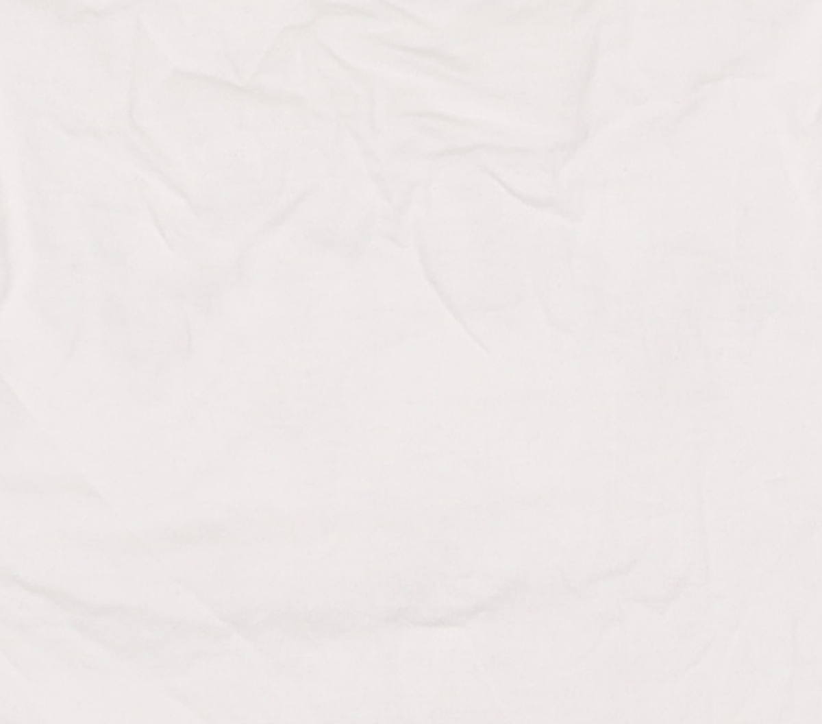 델리센트(DELICCENT) 시그니처 크롭 티셔츠 [WHITE] FREE
