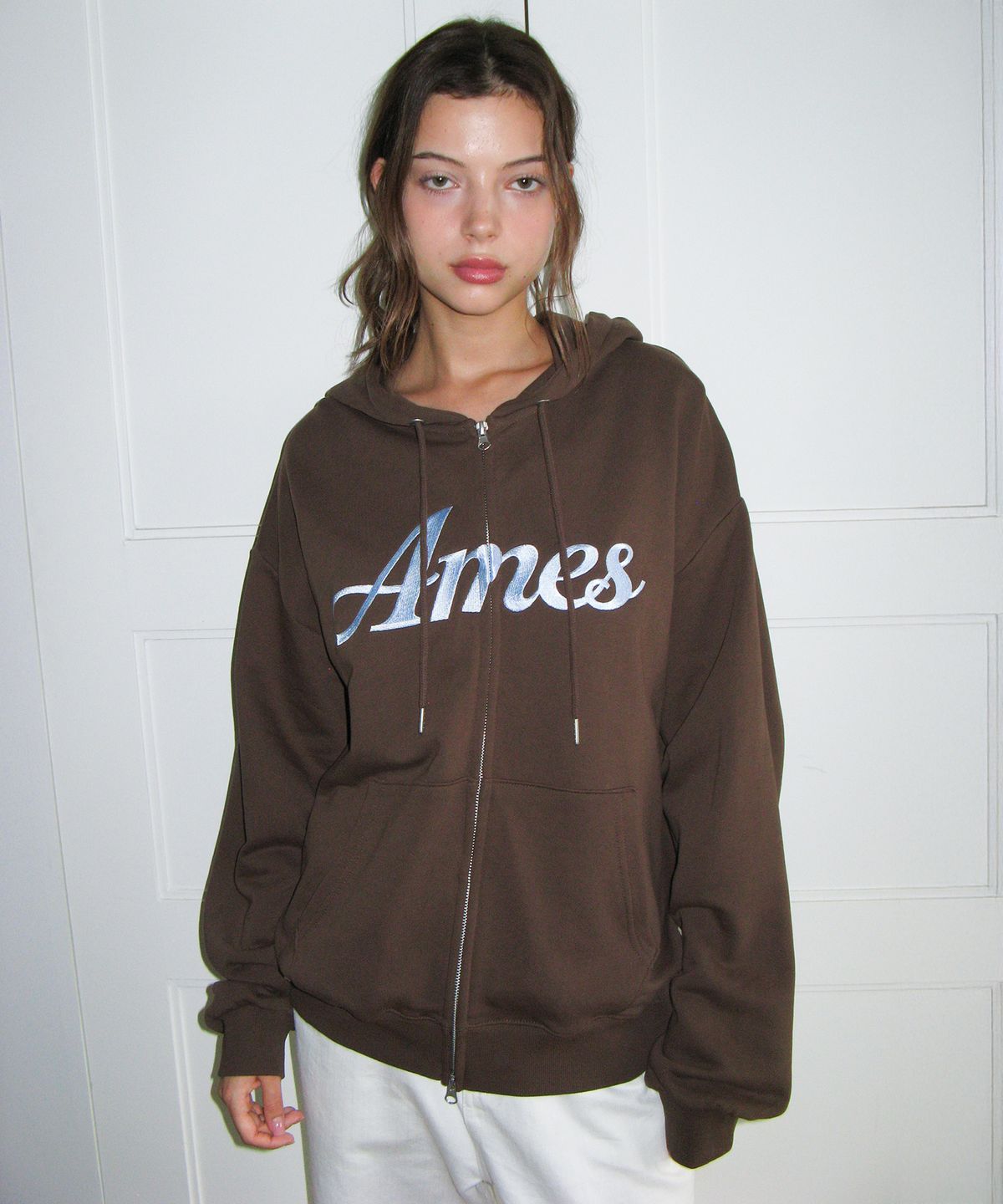 아메스 월드와이드(AMES-WORLDWIDE) STANDARD LOGO HOODIE ZIP-UP BROWN