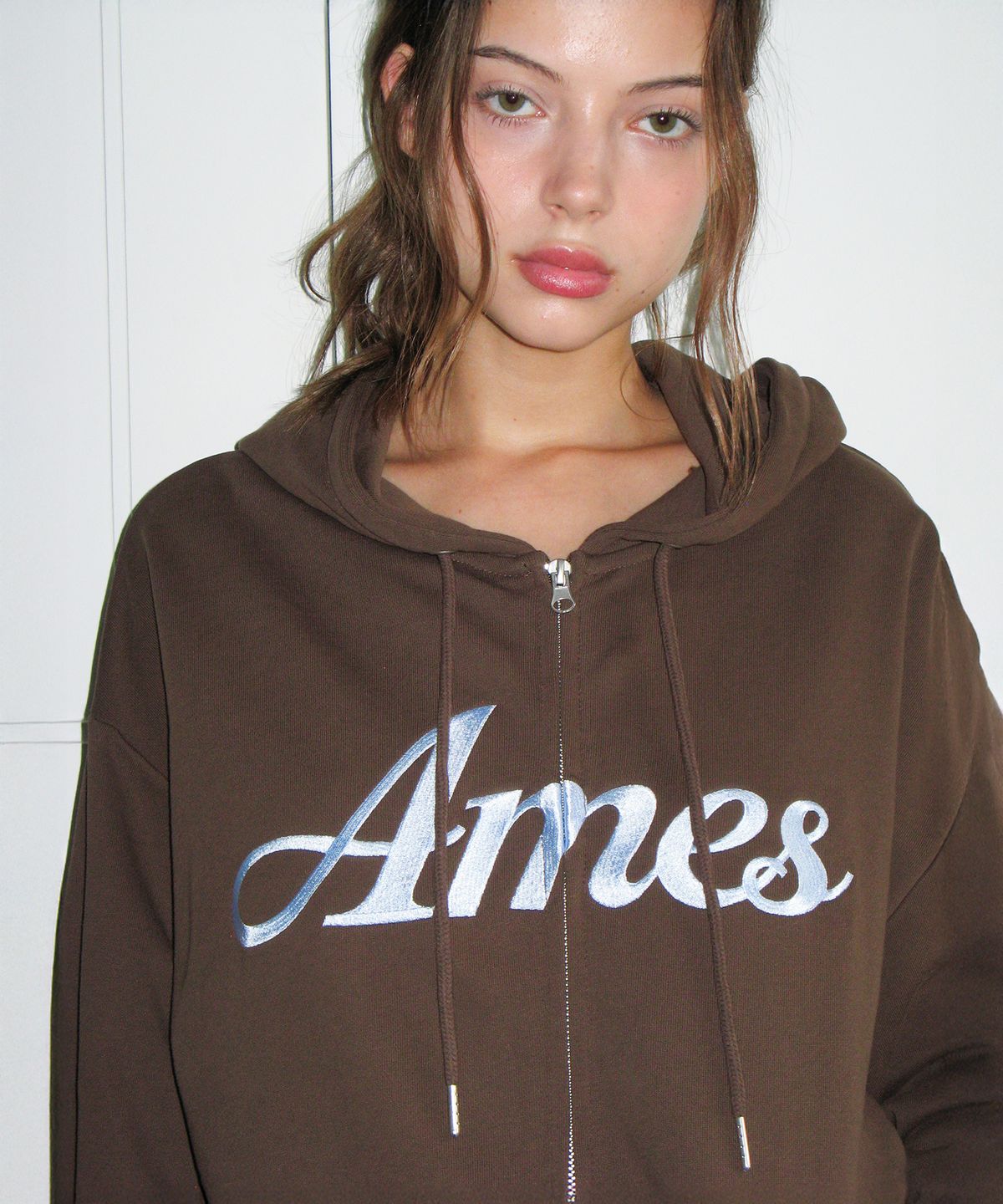 아메스 월드와이드(AMES-WORLDWIDE) STANDARD LOGO HOODIE ZIP-UP BROWN