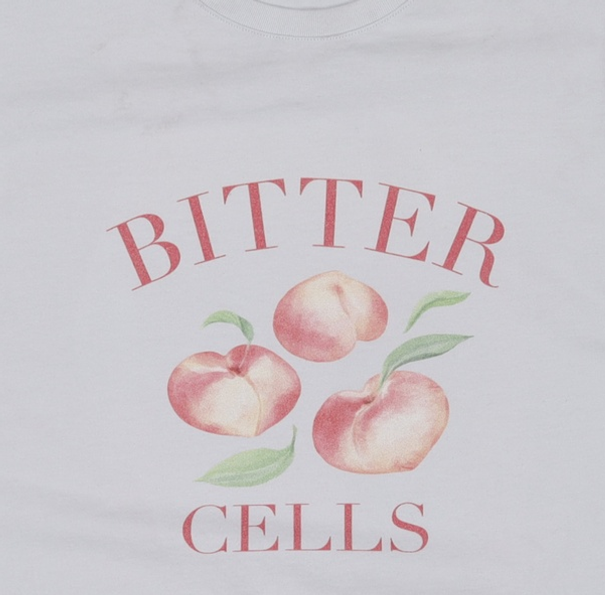 비터셀즈(BITTERCELLS) 반소매 티셔츠 XL