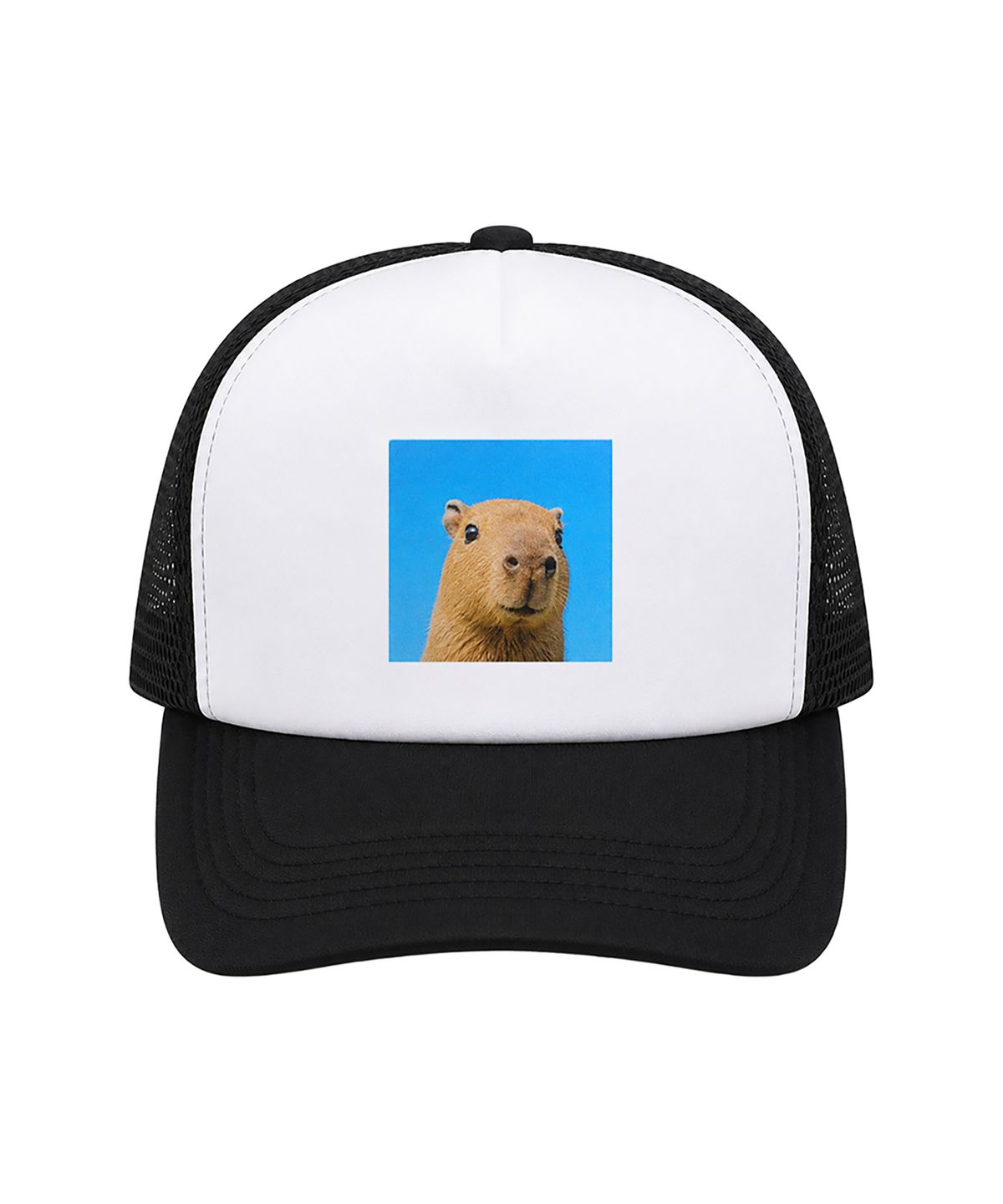 어라이트앵글(ARIGHTANGLE) CAPYBARA TRUCKER CAP2 (2 COLOR)