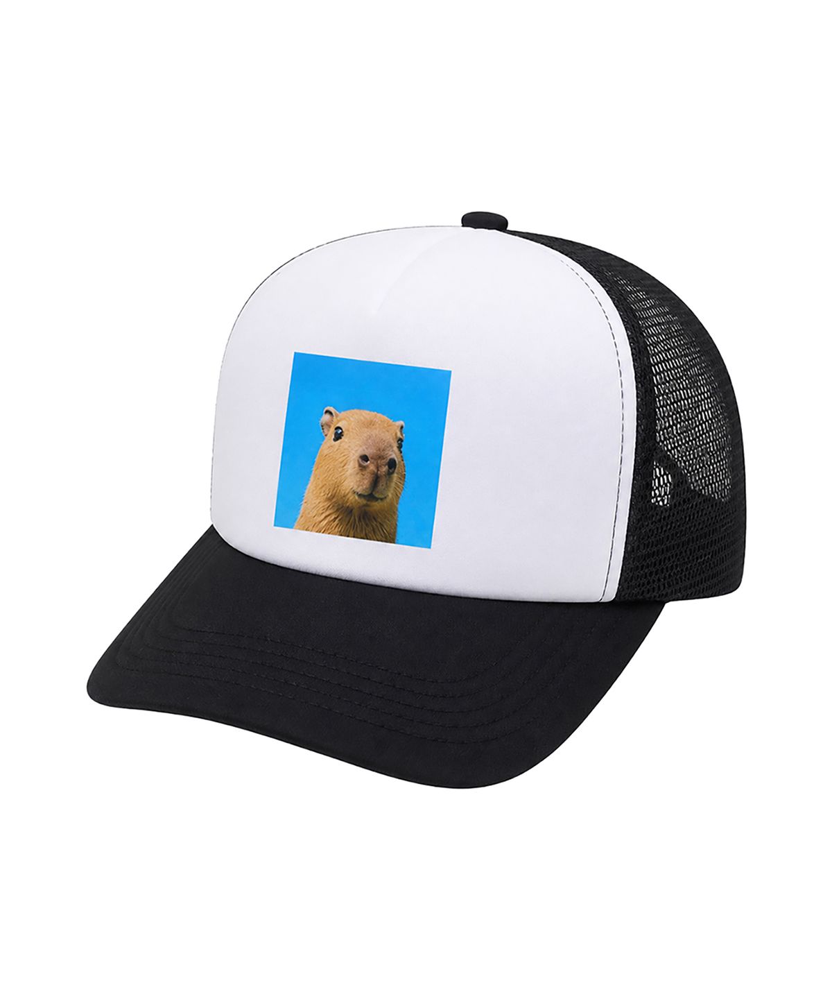 어라이트앵글(ARIGHTANGLE) CAPYBARA TRUCKER CAP2 (2 COLOR)