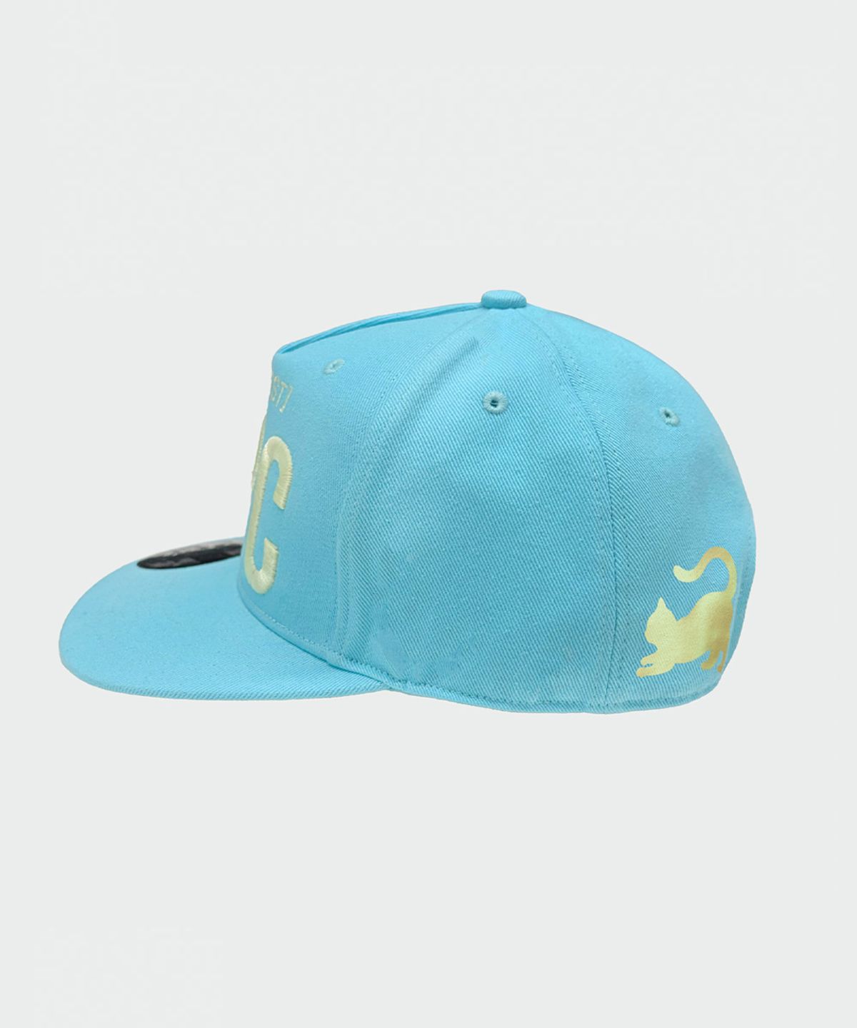 스컬프터(SCULPTOR) NPC Kitty Snapback Cap Acid Blue