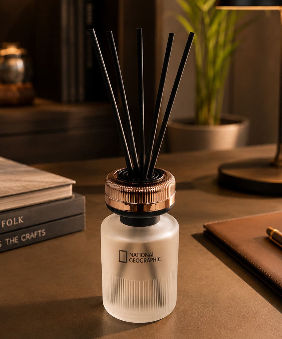 내셔널지오그래픽 프래그런스(NATIONAL GEOGRAPHIC FRAGRANCE) 내셔널지오그래픽 프리미엄 디퓨저 , 225ml, 1개