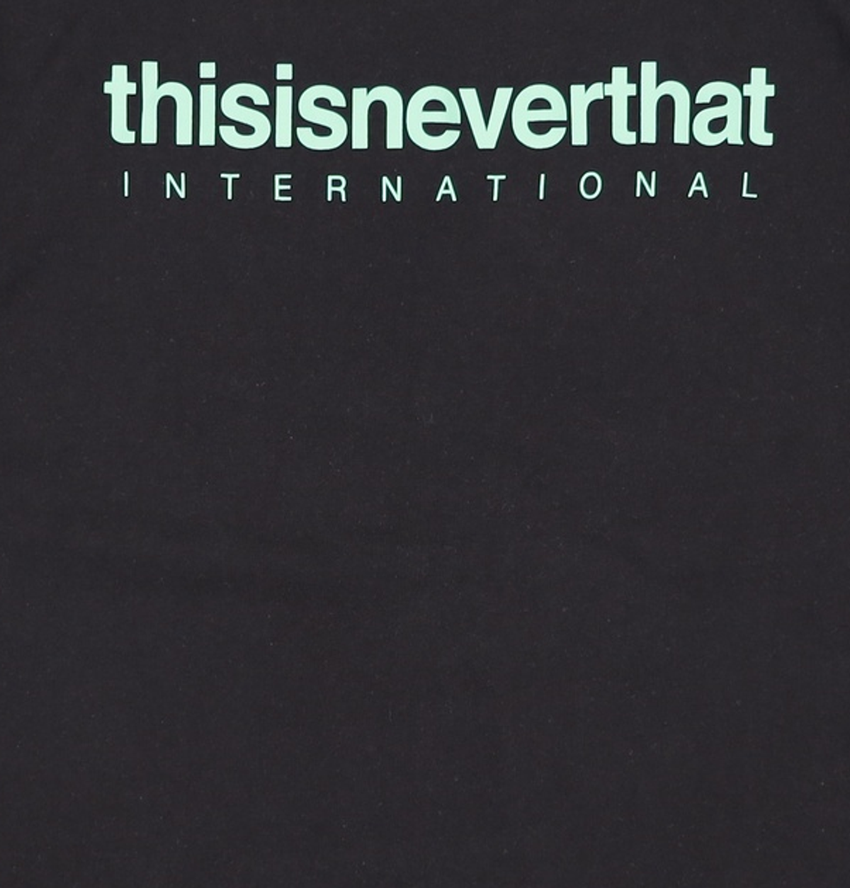 디스이즈네버댓(THISISNEVERTHAT) 반소매 티셔츠 L