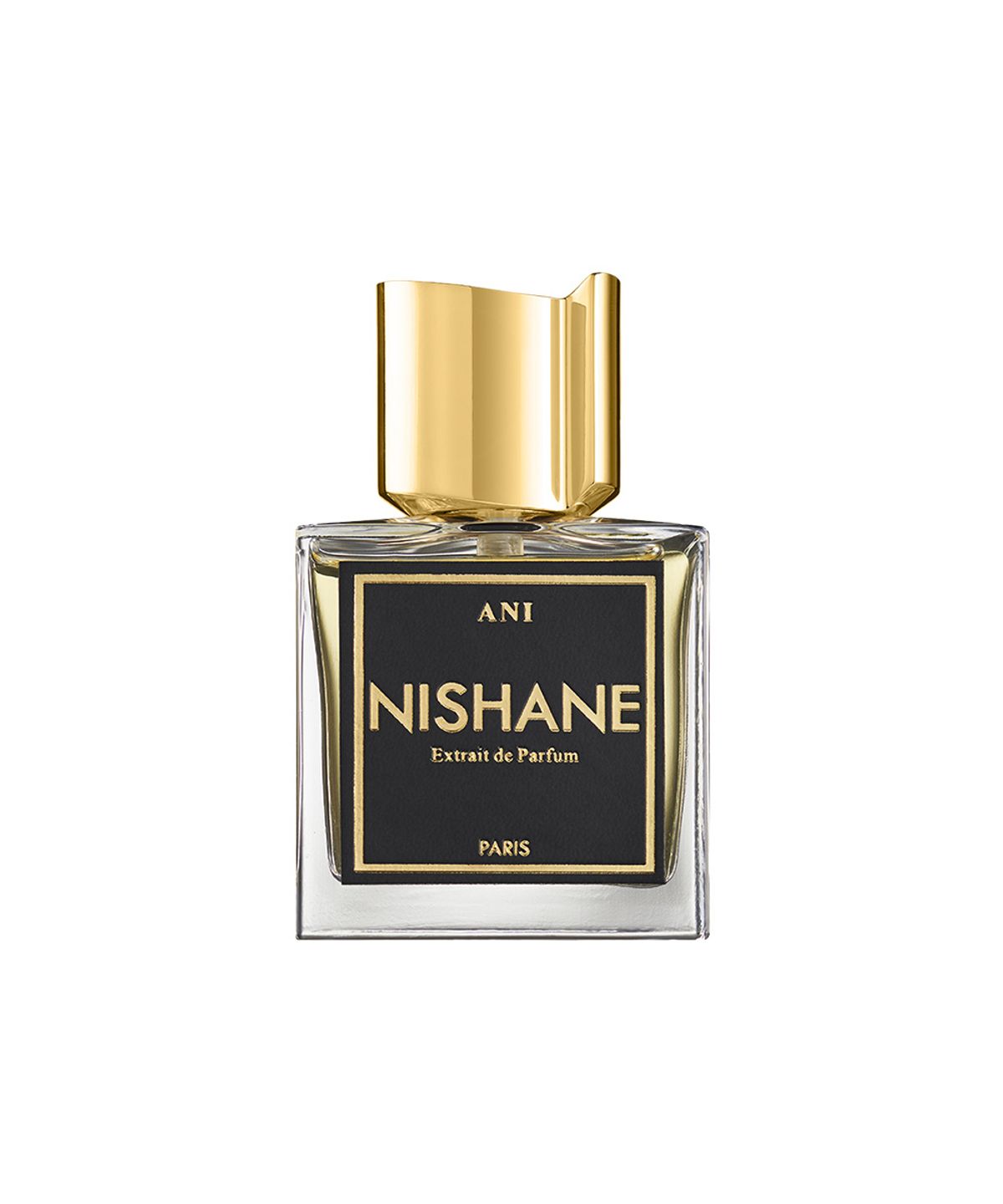 니샤네(NISHANE) 아니 EXDP 100ml [증정] 랜덤 바이알 (2ML*4종)
