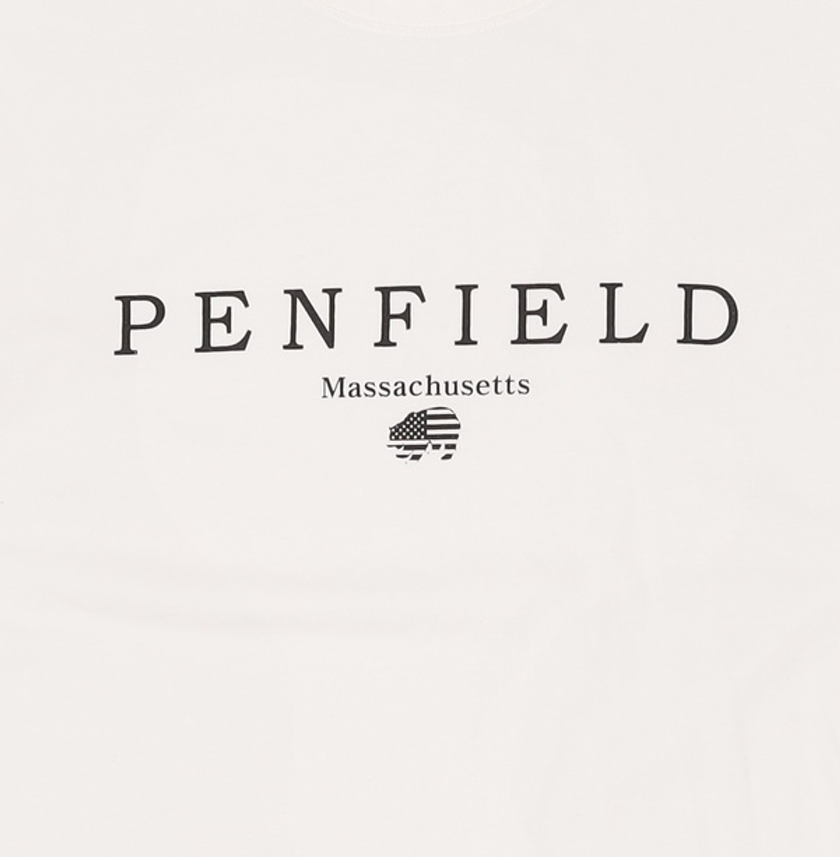 펜필드(PENFIELD) 반소매 티셔츠 L