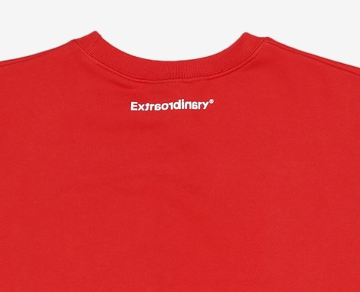 엑스트라오디너리(EXTRAORDINARY) 맨투맨/스웨트셔츠 XL