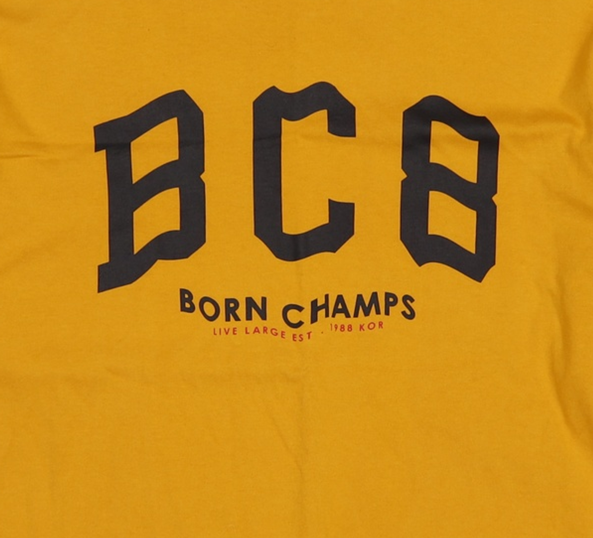 본챔스(BORN CHAMPS) [1+1] 본챔스 DEFORM LAYERED TEE L