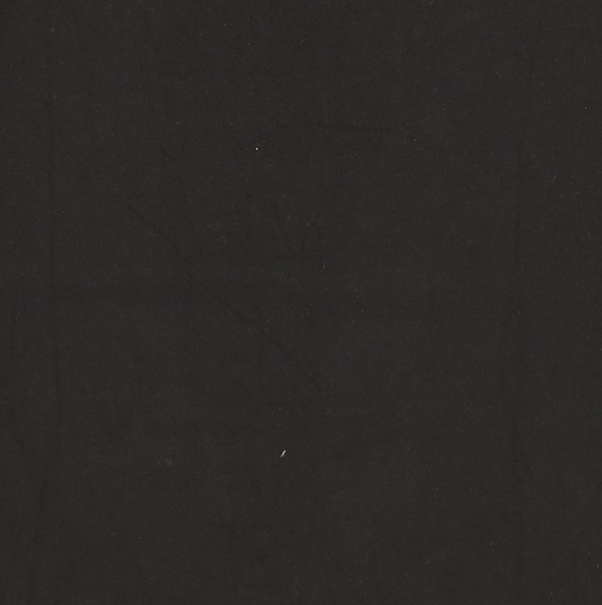 프린트스타(PRINTSTAR) 반소매 티셔츠 XL