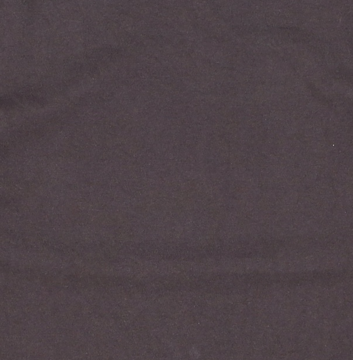 이지이지이지(EASYEASYEASY) Easy Bugs Coil Logo Tee Black S