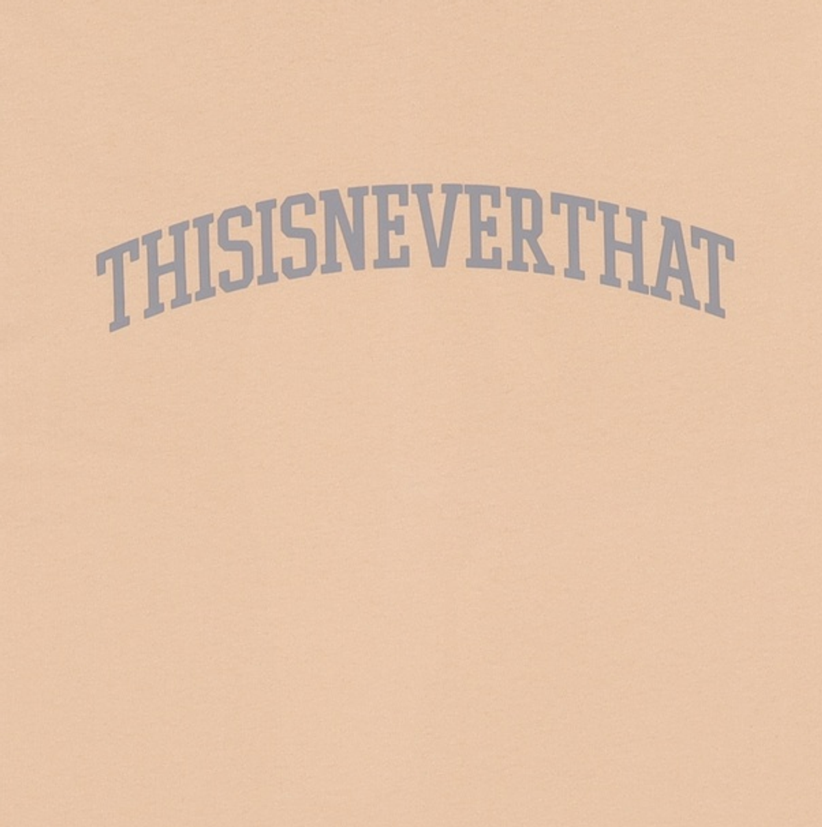 디스이즈네버댓(THISISNEVERTHAT) Arch-Logo Tee L