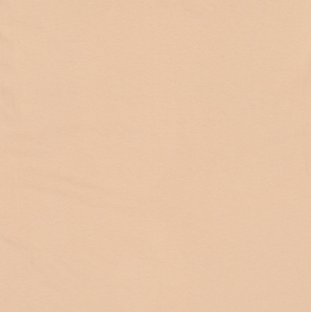 디스이즈네버댓(THISISNEVERTHAT) Arch-Logo Tee L