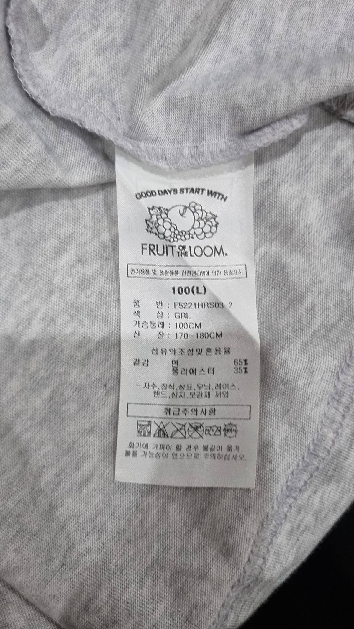 프룻오브더룸(FRUIT OF THE LOOM) 반소매 티셔츠 100