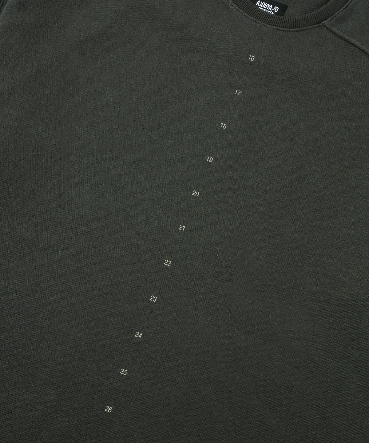 아조바이아조(AJOBYAJO) 10th Anniversary Raglan Sweatshirt [CHARCOAL]