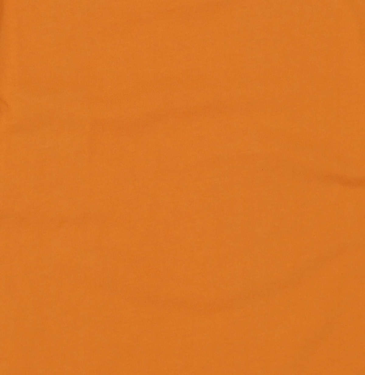브롬톤 런던(BROMPTON LONDON) BASIC HALF SLEEVE T-SHIRT - ORANGE (P252UTS431) XXL